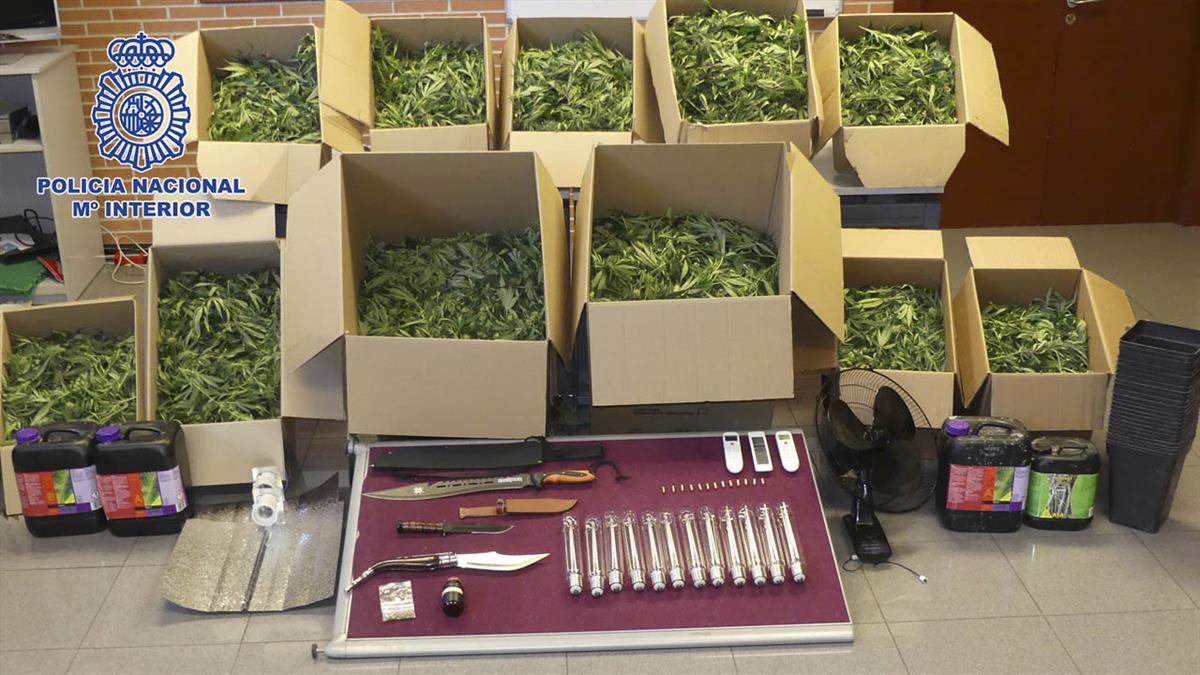 Cuatro miembros de una misma familia han sido arrestados 