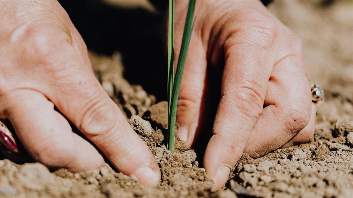 El primero de sus características en Pozuelo
