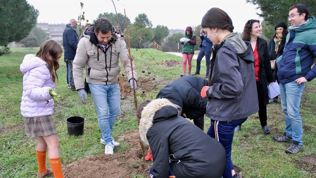 Embajadores europeos participan en una plantación en la localidad 
