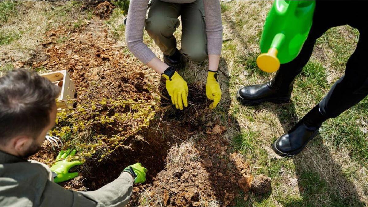 Gracias a su compromiso con el reciclaje, Paracuellos fue el ganador de la campaña ‘Recicla vidrio y Reforesta’