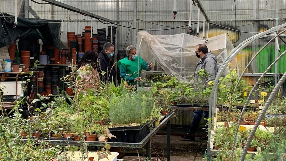 El proyecto final dejará 2.500 nuevos árboles en las calles y barrios de la ciudad