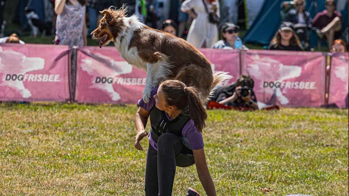 Se ofrecerán dos trofeos, uno para mejor ejemplar y otro el mejor de las razas