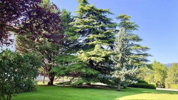 El programa se llevará a cabo durante la jornada del 22 de septiembre