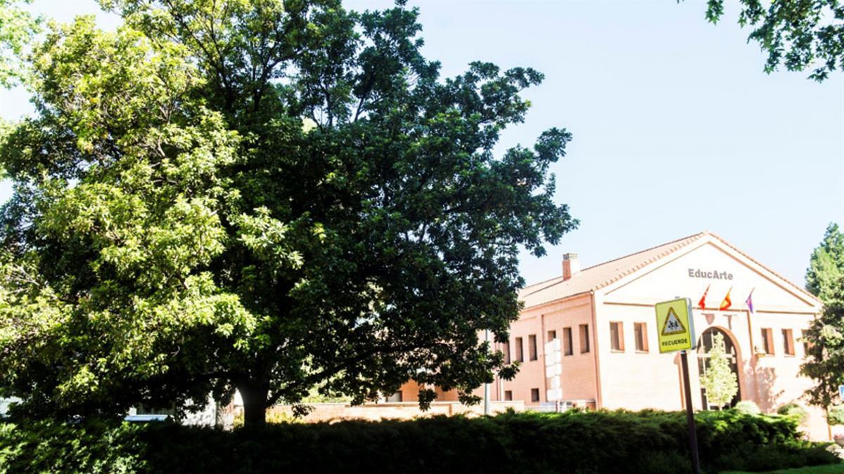 "Esta escuela impulsa y fomenta el talento artístico de sus alumnos"