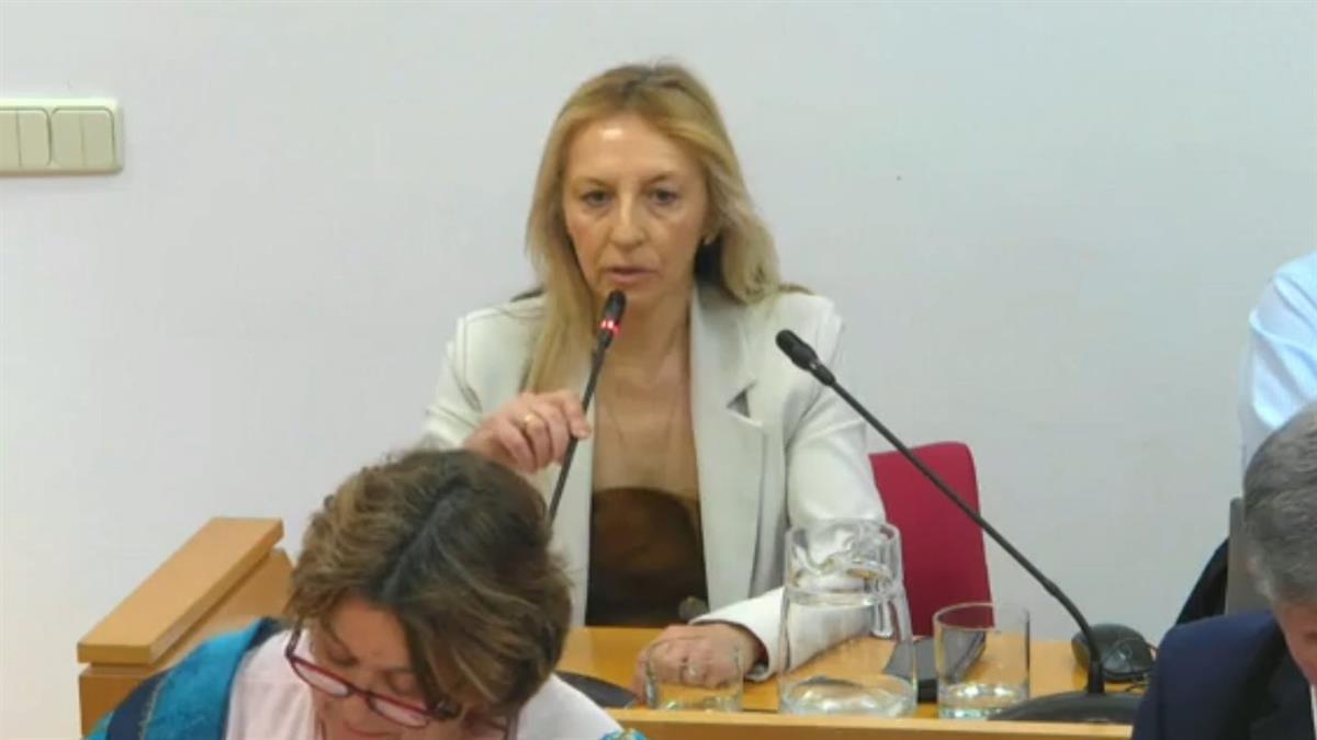 Las miradas se posan sobre Begoña Sanz, la edil del PSOE que decidió abstenerse en el pleno