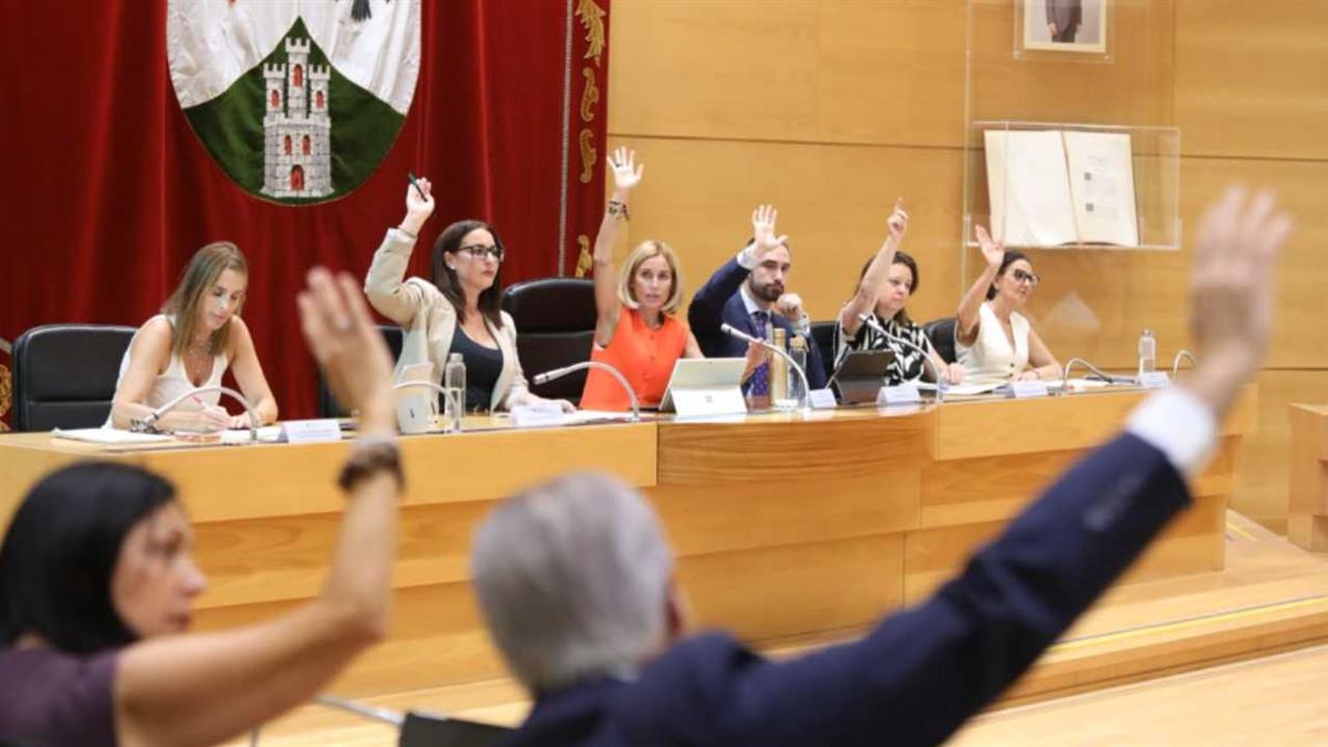 El Pleno aprueba explorar todas las posibilidades para desplazar el tendido eléctrico de las viviendas