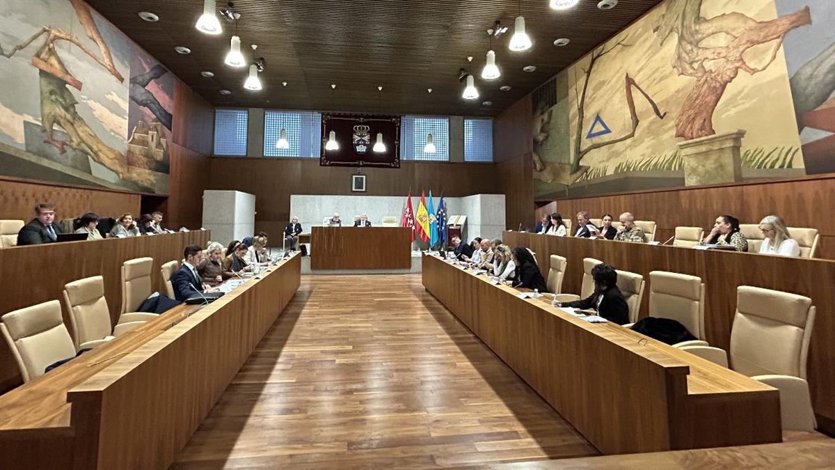 Han salido adelante tres mociones sobre el cuidado de las colonias felinas, la mejora de la calidad del aire y la modificación de la Ordenanza de tenencia y protección de animales de compañía

