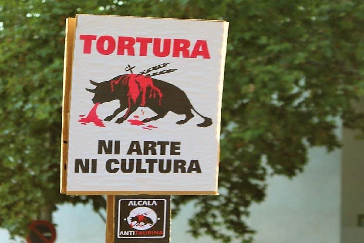 Ya son varios los grupos de la ciudad que están mostrando su rechazo a los espectáculos taurinos
