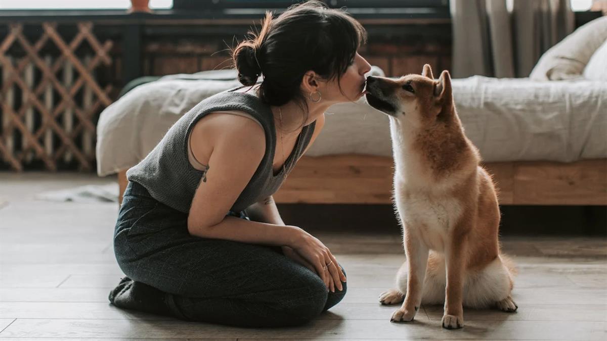 La formación ha organizado un encuentro con el Director General de Derechos de los Animales en el Ministerio de Derechos Sociales y Agenda 2030 