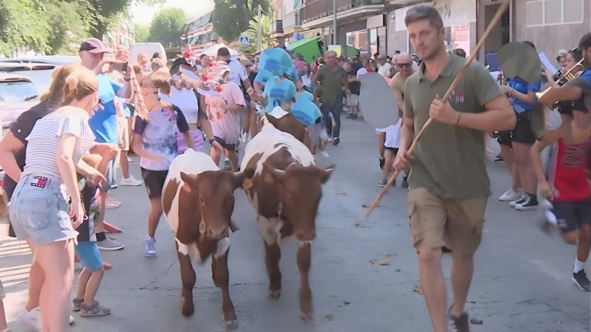 La formación morada denuncia que el gasto taurino se ha multiplicado de 18.000€ a 150.000€