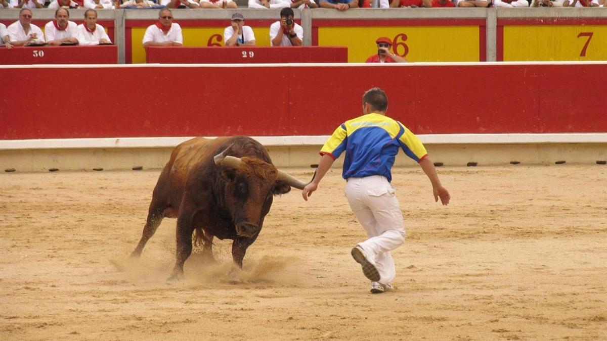 Podemos califica como "despilfarro" el pliego aprobado para los encierros taurinos