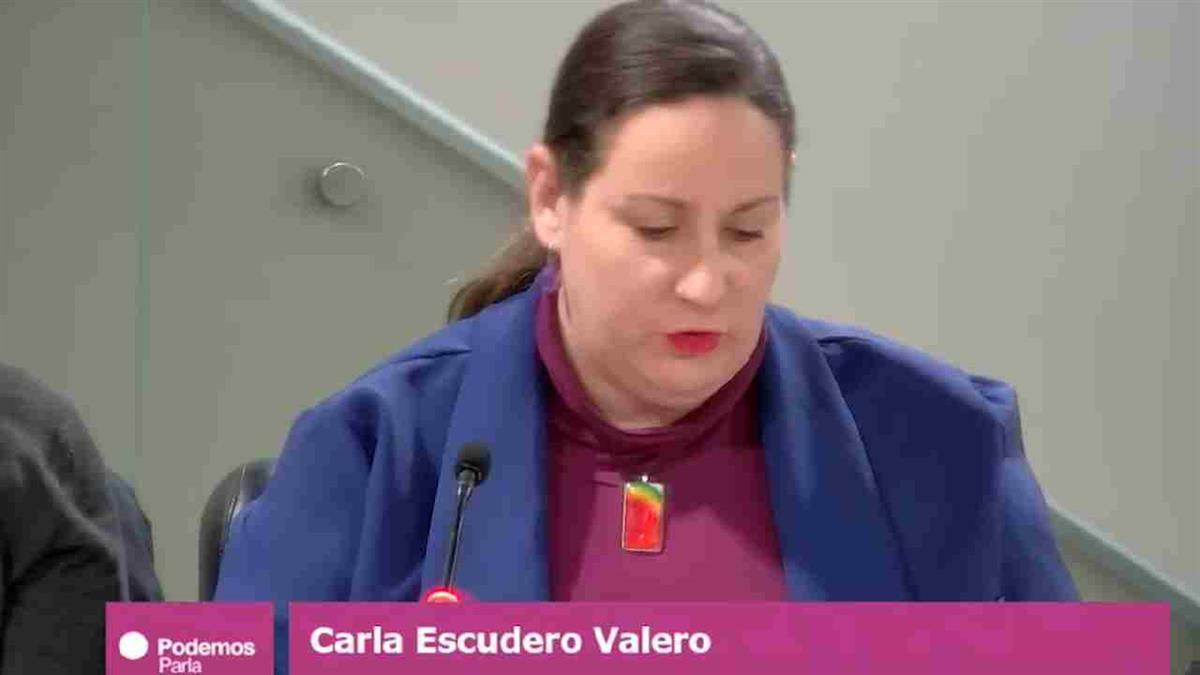 La formación morada acusa a la Comunidad de Madrid de "descapitalizar" la sanidad pública