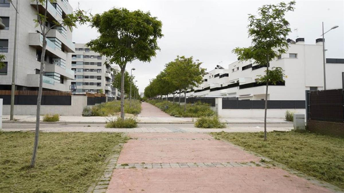 Desde esta formación han pedido además crear una Inmobiliaria Pública Madrileña, que facilitaría los trámites administrativos