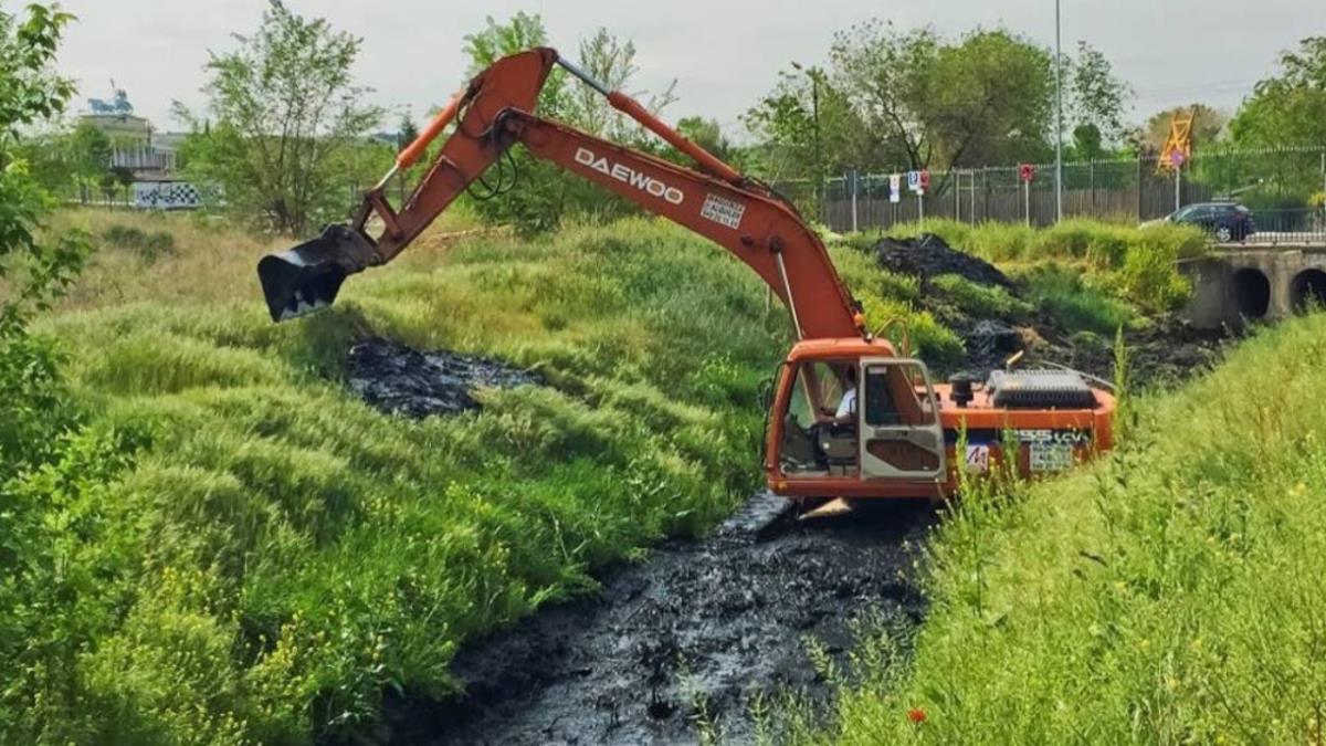proponen al Pleno Municipal de julio que se realicen trabajos para recuperar y renaturalizar este espacio urgentemente 