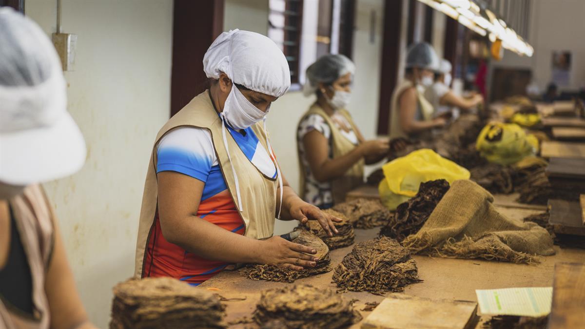 Una organización criminal se dedicaba a gestionar esta infraestructura 