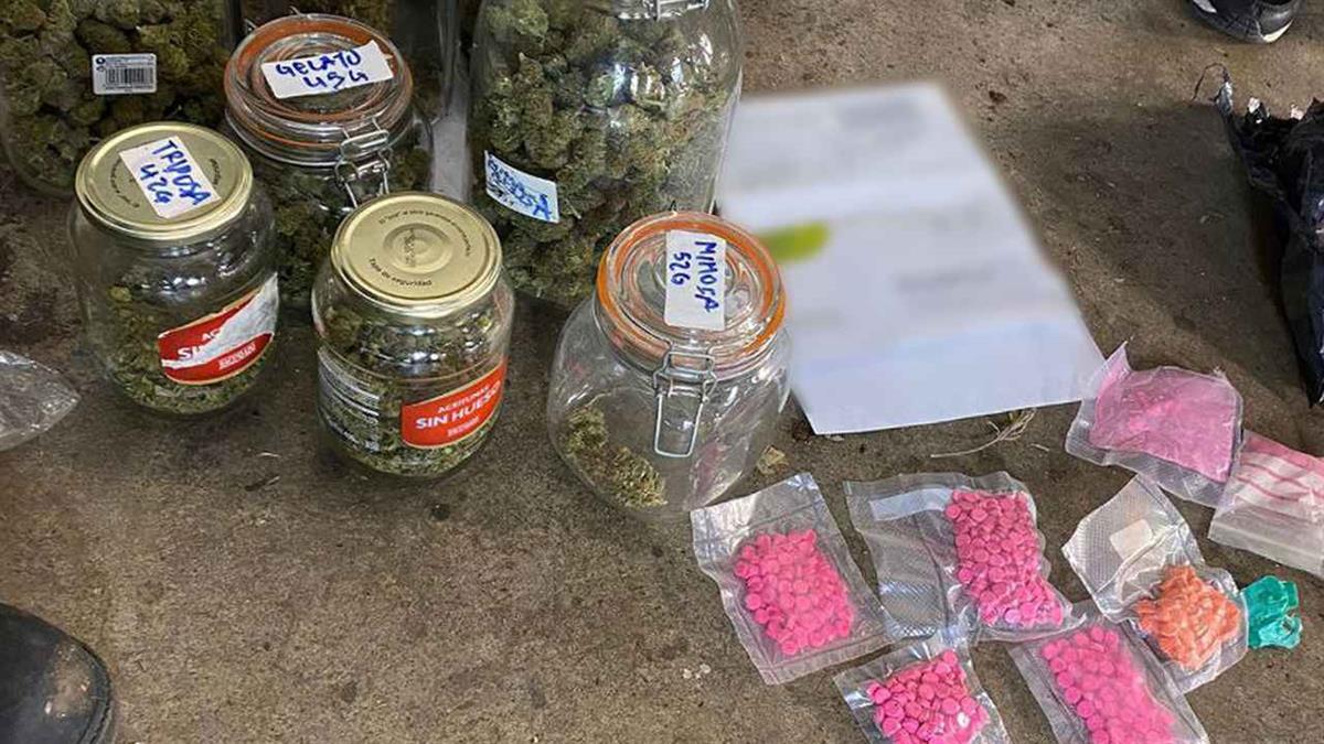 El cultivo se encontraba dentro de una nave industrial donde también se han encontrado pastillas de éxtasis
