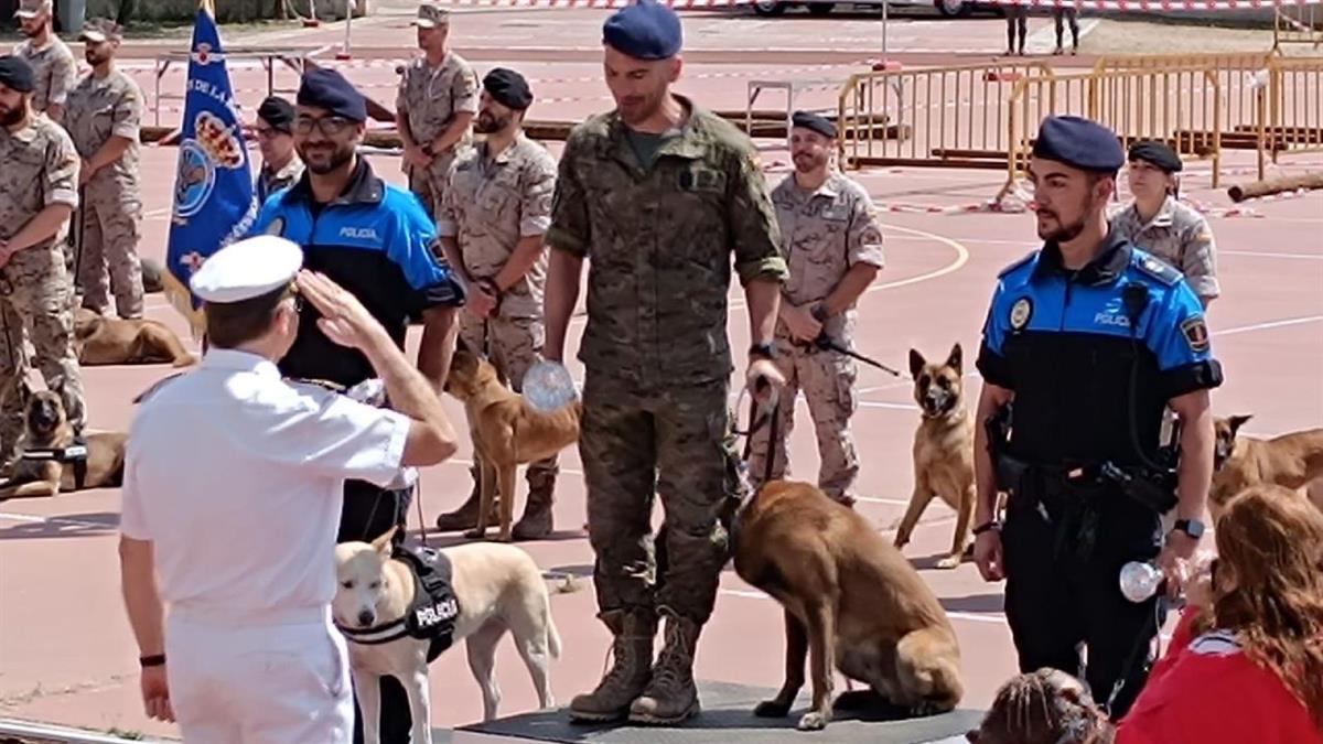 El evento tuvo lugar en Carabanchel, con el paso de los años ha cosechado gran prestigio a nivel nacional