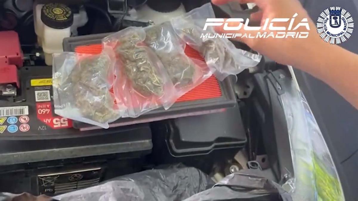 El detenido ha sido acusado por un delito contra la salud pública