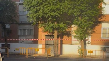 Vecinos del barrio de Rosario denuncian la tala "indiscriminada" de 30 árboles