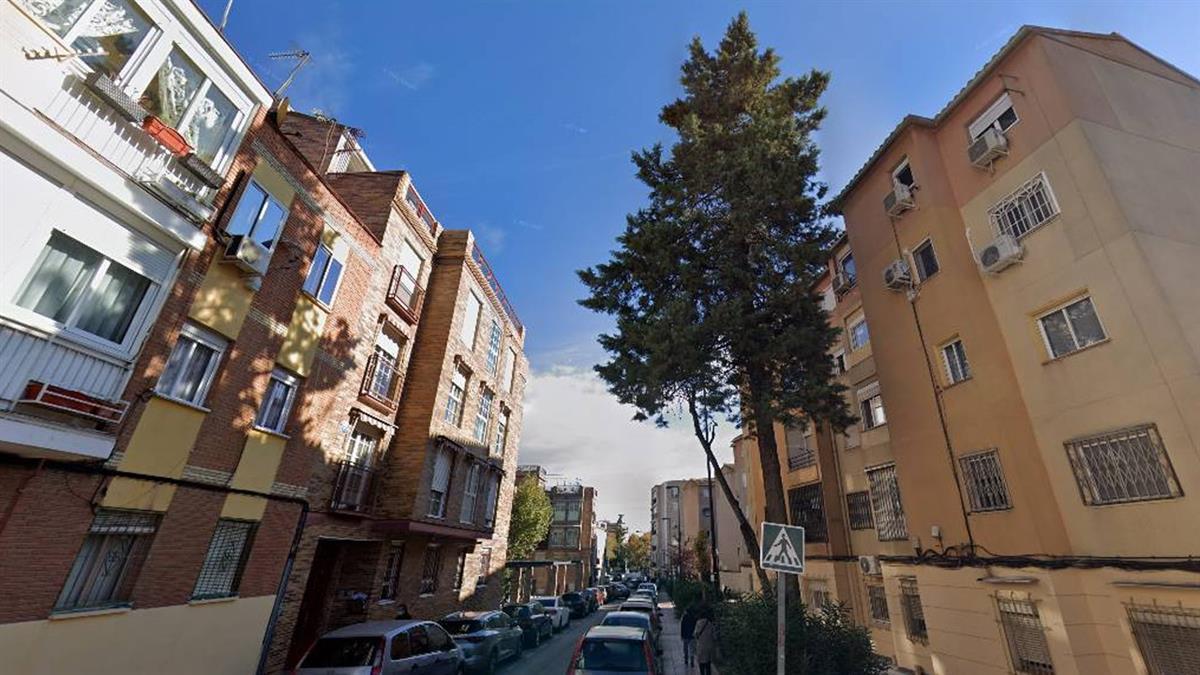 Vecinos y vecinas del municipio se han unido en el colectivo veGETAcción para defender el arbolado de la ciudad