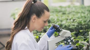 En los últimos cinco años cerca de 2.500 personas se han
incorporado a puestos de trabajo a través de este medio