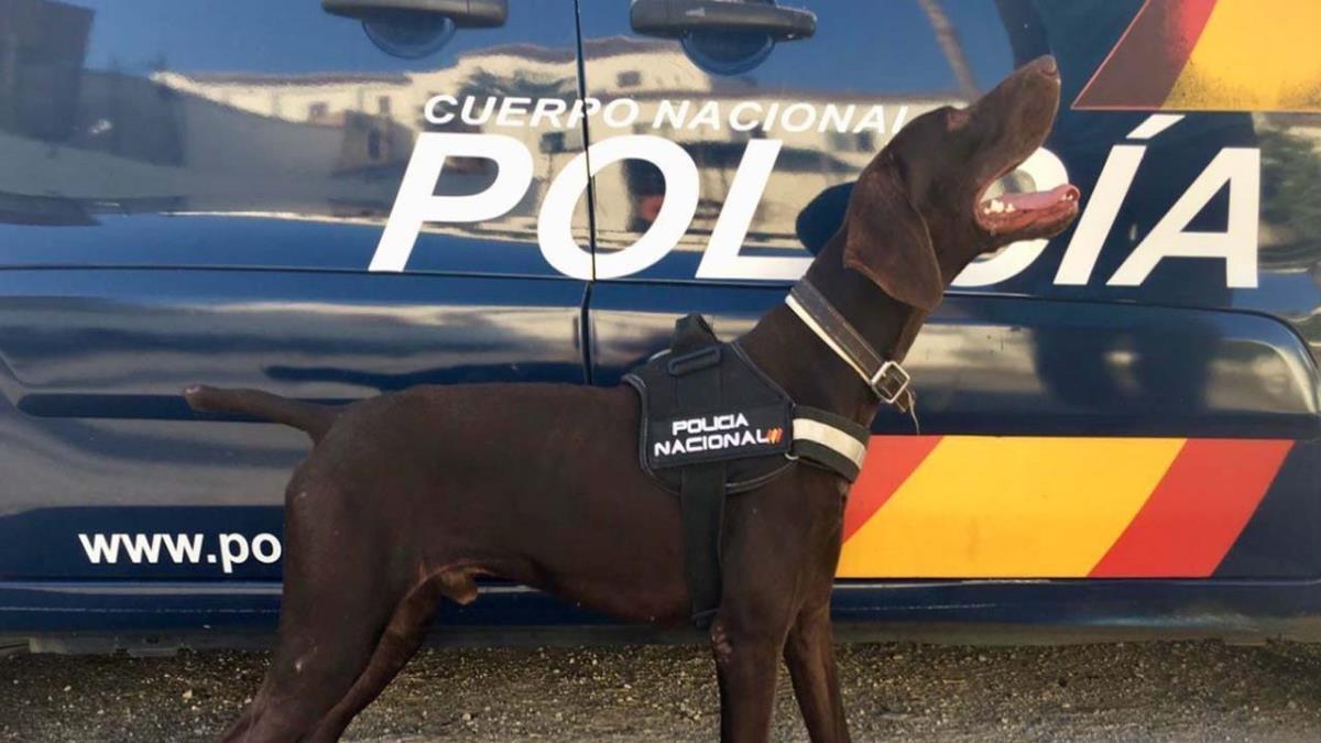 La policía encontró el cuerpo de una mujer y, posteriormente, el de su hijo