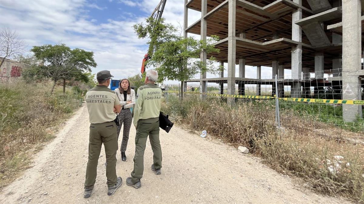 Para realizar los informes se pidió opinión a expertos sobre anidamientos