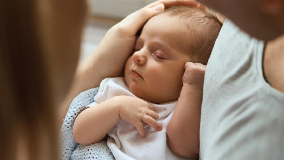 Abre el plazo de solicitud para las ayudas a los nacidos, adoptados o acogidos en el segundo cuatrimestre de este año