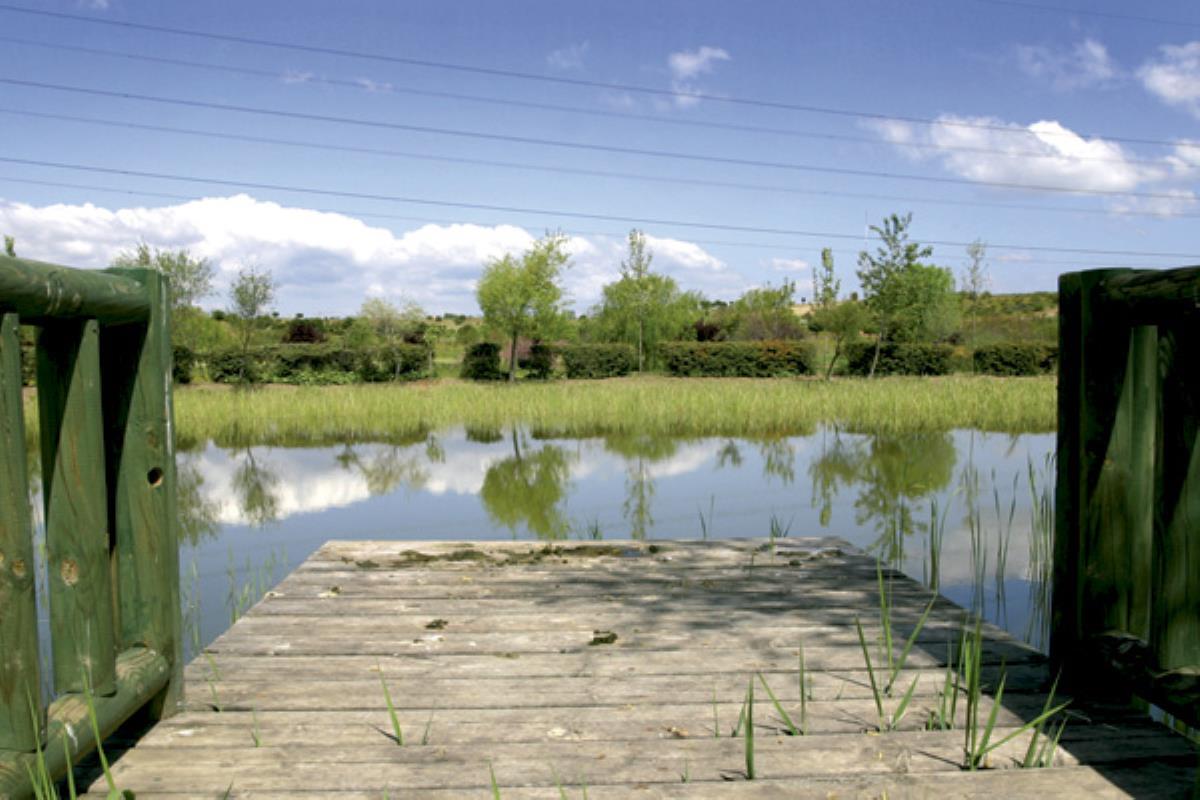 El Ayuntamiento de Pozuelo ha reabierto, este fin de semana, el gran pulmón verde de la ciudad