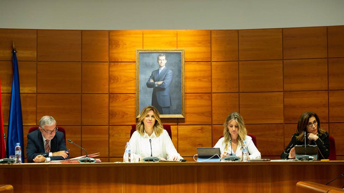 En el Pleno manifiestan su firme adhesión a la Constitución Española