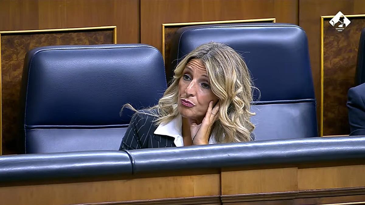 El Congreso de los Diputados aprueba todas las enmiendas y devuelve el proyecto al Gobierno
