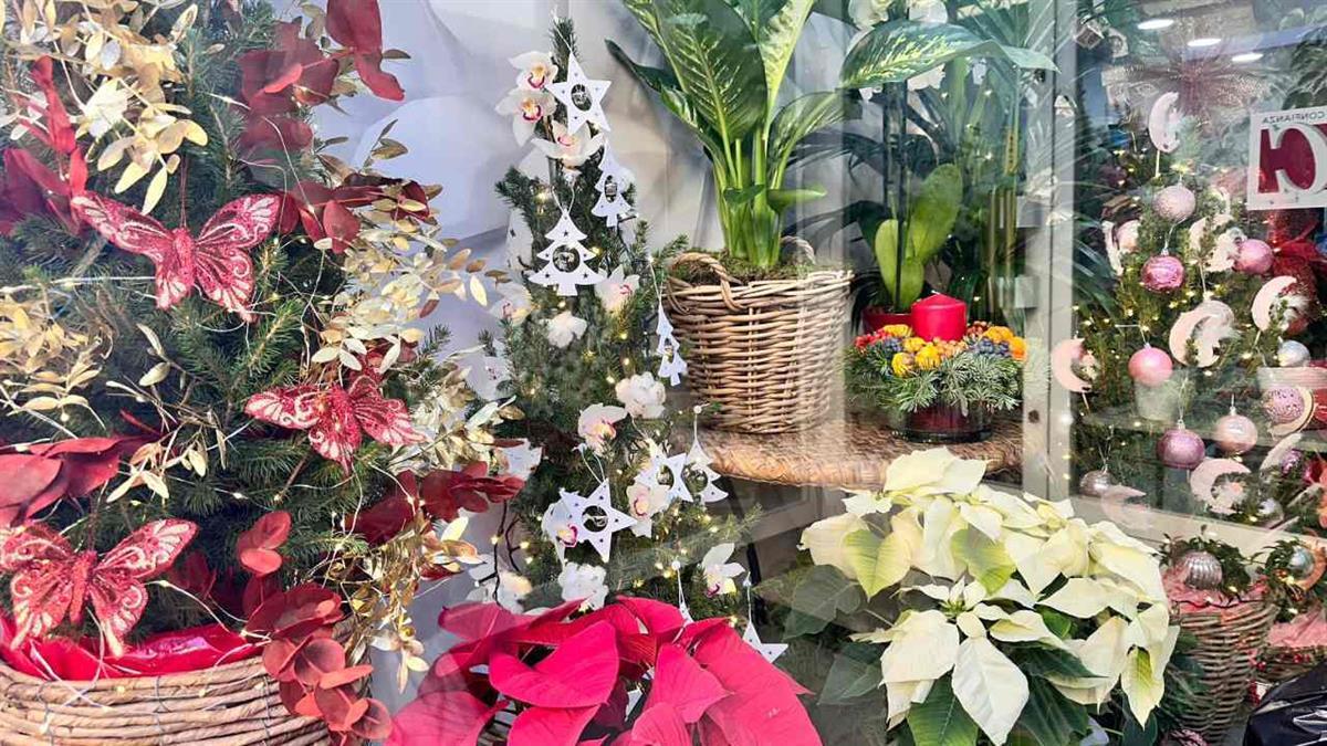 La artista argandeña recibirá la Navidad el próximo viernes 01 de diciembre a las 18:00 horas