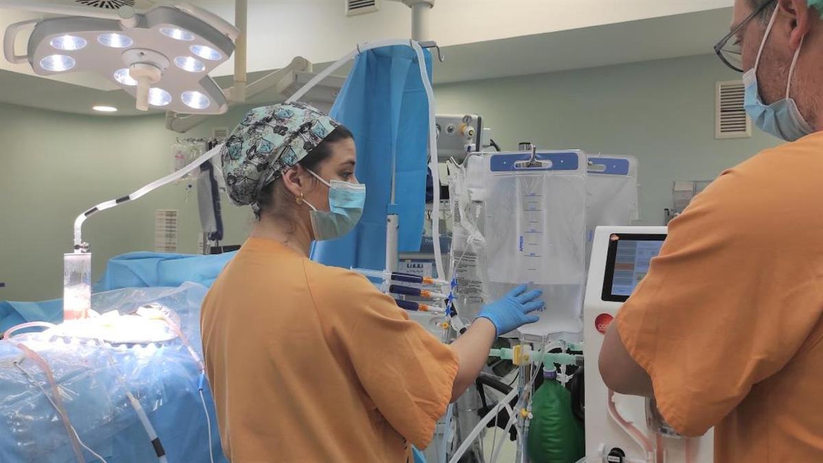 Ha conseguido la Geriatric Emergency Deparment Accreditation en la categoría bronce por el manejo de los pacientes geriátricos 