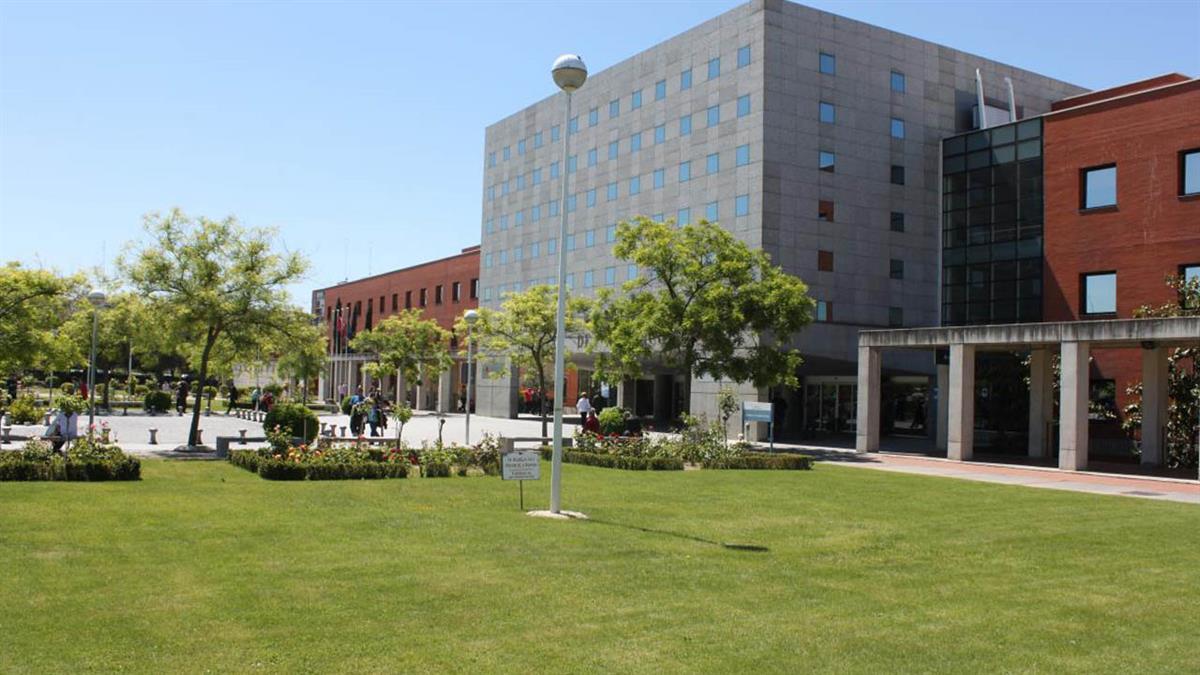 Han sido reconocidos con el galardón Alberto Masegosa a la Mejor Publicación en Flebología y/o Linfología