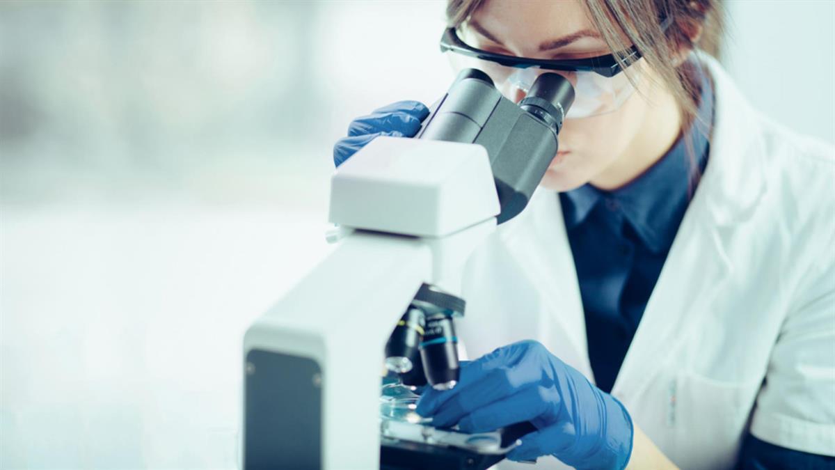 Toca el turno de los reconocimientos a la investigación