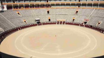 El acto reconocerá a toros, ganaderías y profesionales madrileños