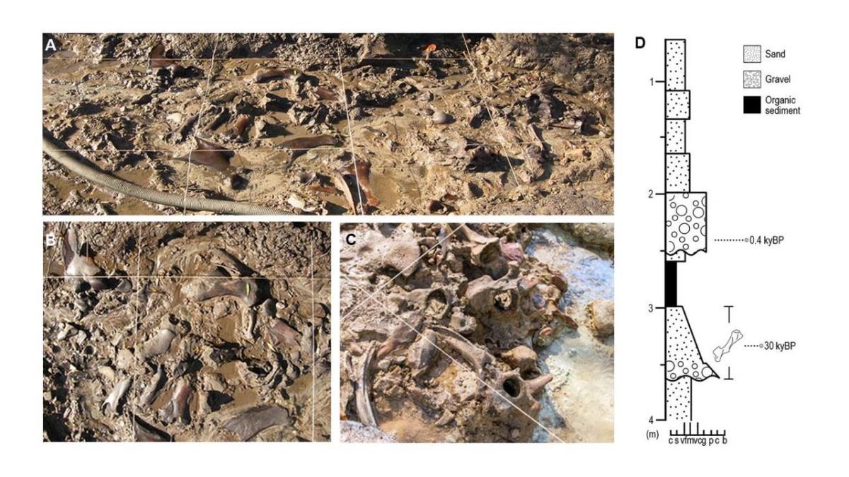 La comunidad a través del IDEA ha certificado desde hace más de 30.000 años 