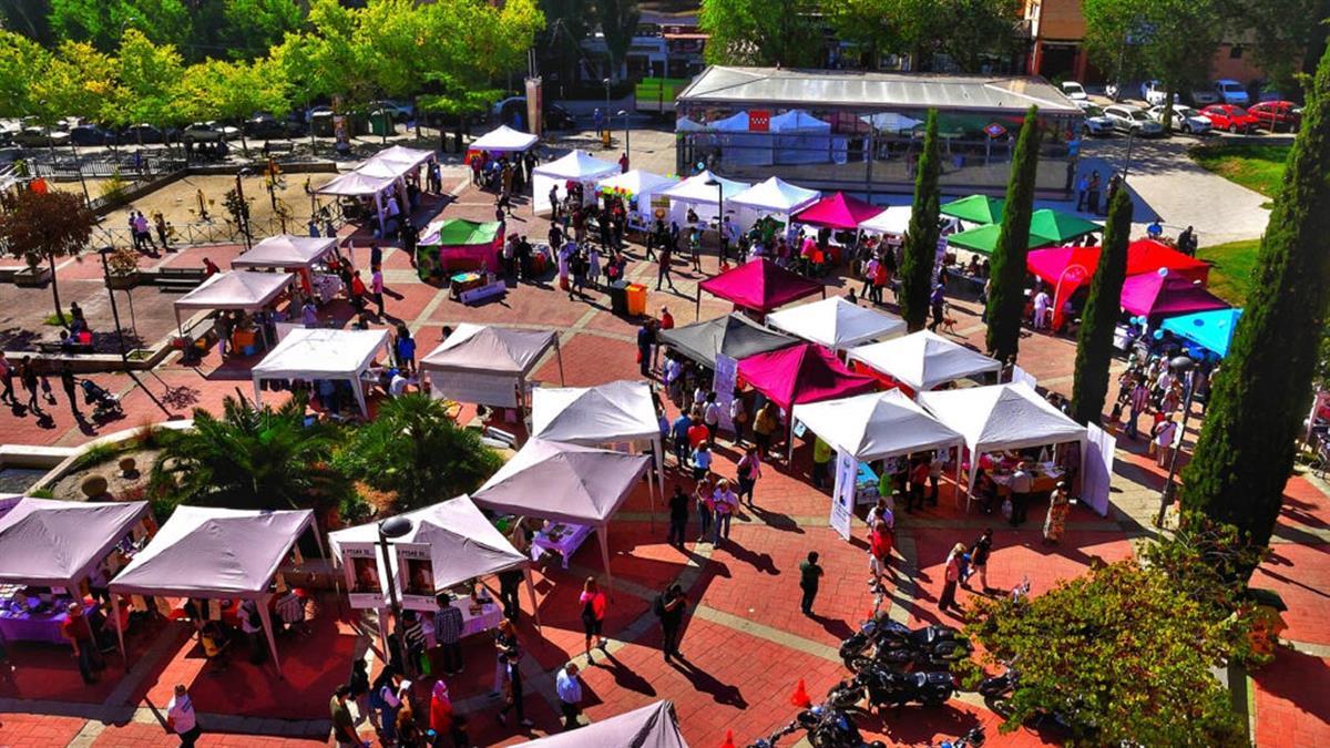 Las agrupaciones ya se están apuntando para participar ¿y tú?