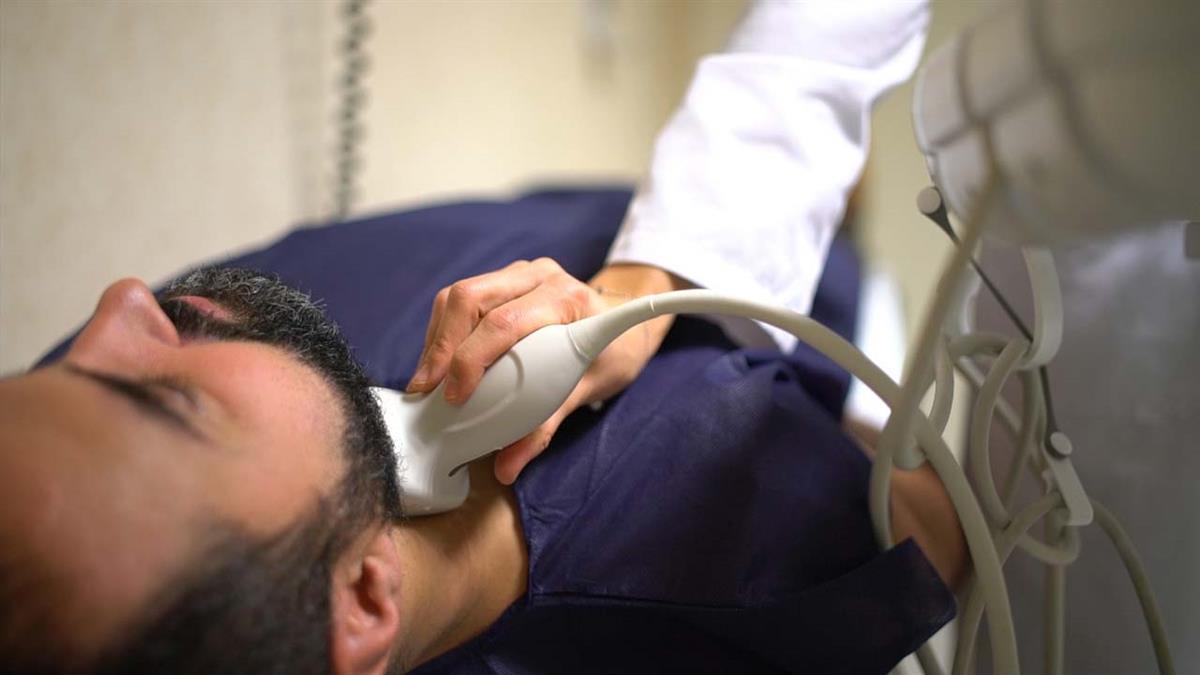 La ECO 3D carotidea y femoral es una técnica de imagen rápida, no invasiva y sin radiación