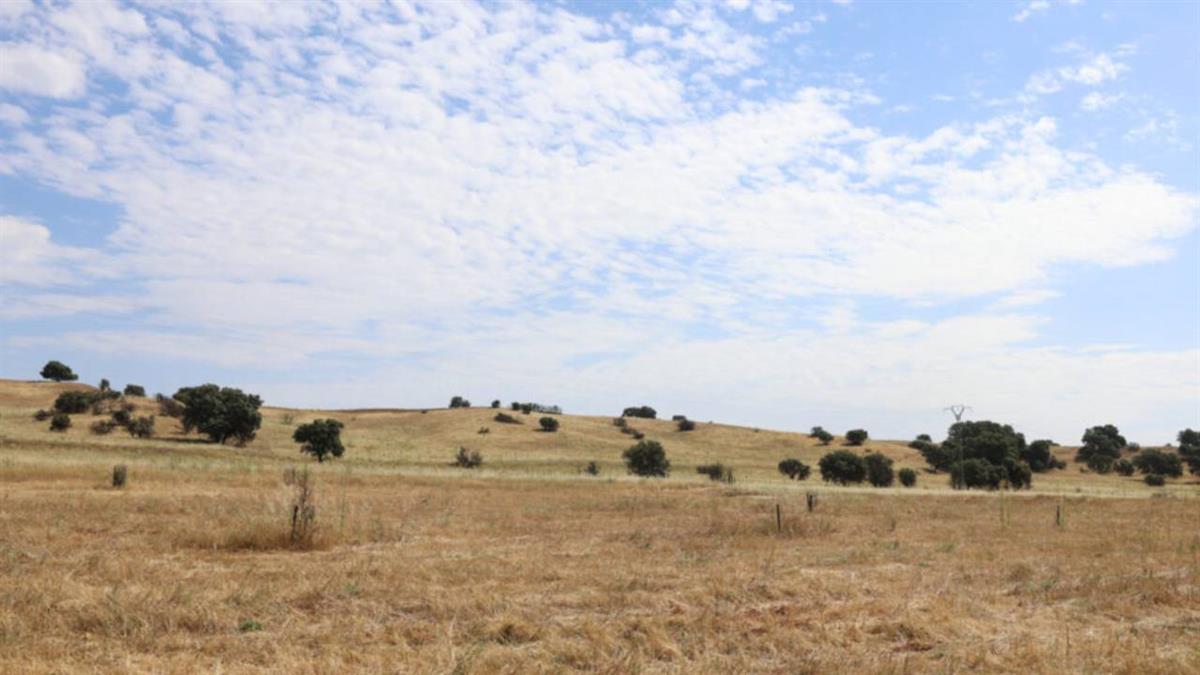 Se han incorporado nuevas medidas destinadas a minimizar las posibles situaciones de riesgo