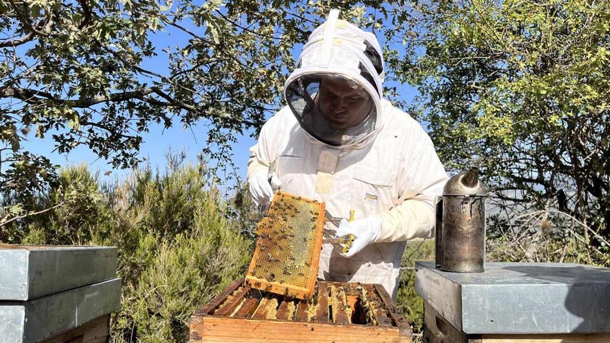 La Dirección General de Emergencias regula las autorizaciones para los ahumadores