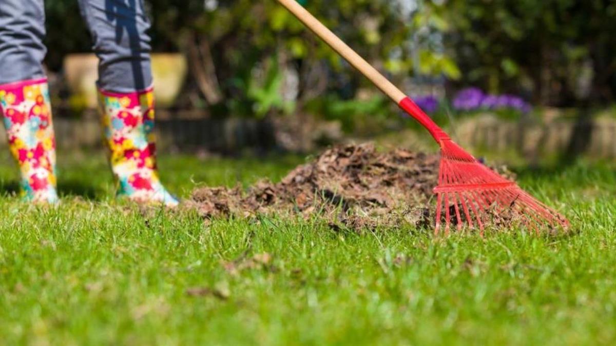 El Ayuntamiento recuerda la importancia de revisar y mantener en buen estado la vegetación de las parcelas