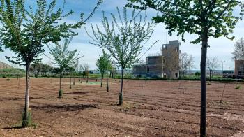 Los profesionales también detectarán las especies con menor presencia en la región para poder recuperarlas