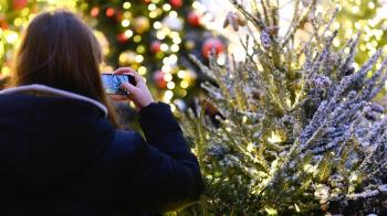Durante 48 horas, ciudadanos de toda Europa registrarán sus observaciones de biodiversidad a través de la plataforma de ciencia ciudadana iNaturalist.