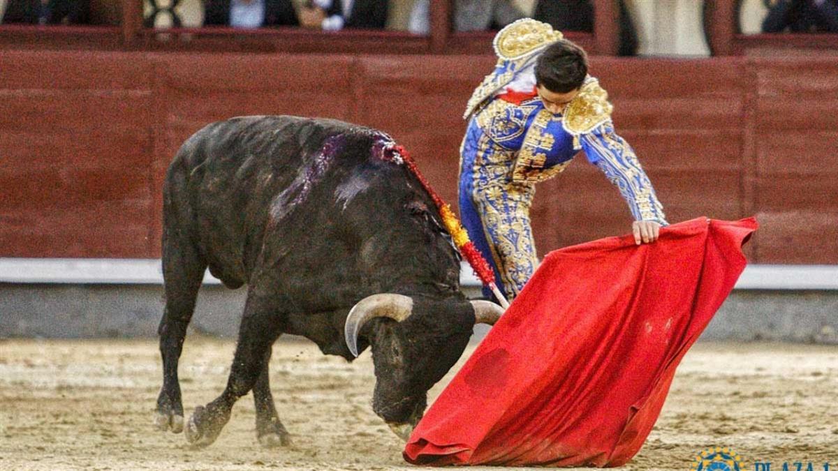 El primer certamen de novilleros sin picadores  se crea por iniciativa de la Diputación de Toledo y la escuela que da nombre al concurso