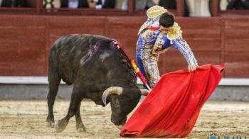 El primer certamen de novilleros sin picadores  se crea por iniciativa de la Diputación de Toledo y la escuela que da nombre al concurso
