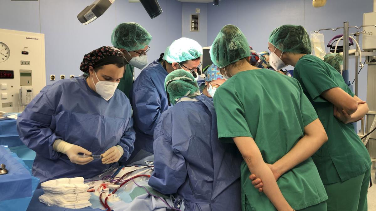 El equipo humano y la máquina ECMO se han desplazado hasta el País Vasco para extraer los órganos de un donante infantil