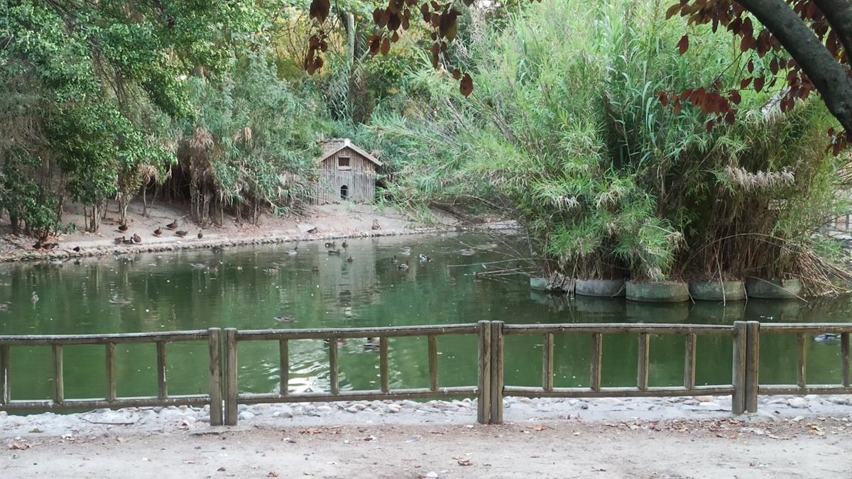 Será el 21 de junio con actividades y diversión al aire libre para fomentar el reciclaje y la sostenibilidad