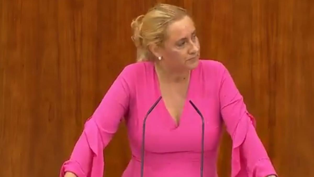 Se debatieron otros temas como la propuesta de maternidad de Ayuso