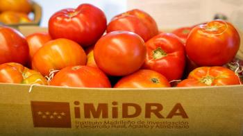 Comienza la Primera Semana del Tomate Tradicional de Madrid para impulsar la comercialización y consumo de las tres variedades madrileñas: Gordo, Moruno y  Antiguo